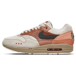 Nike Air Max 1 City Pack 'Amsterdam'